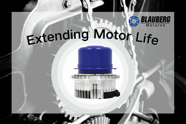 Extending Motor Life: Why IP55 + Premium Bearings=Unbeatable Defense 