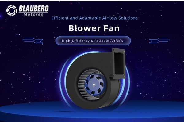 Blauberg Blower Fans: High-Efficiency, Reliable Airflow for Every Industry