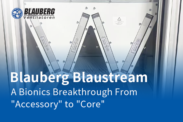 BLAUBERG Motor.png